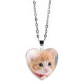 Dettaglio macro di una collana con ciondolo a cuore argentato con un gattino arancione - Gattino Arancione Con Collare Rosso (JY008167-16)