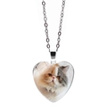 Collana con ciondolo a cuore e foto di gatto con catena in metallo argento su sfondo bianco - Gatto a Pelo Lungo Consistenza Riflettente (JY008167-7)