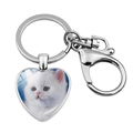Detailed close-up of a heart-shaped keychain with a cute white kitten photo on silver alloy - White Long-haired Cat Blue Background(JY008169-17)
