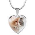 Niedliche Herz Katzen Halskette mit silberner Schlangenkette und Foto Anhänger Glas - Flachgesichtige Katze Fotostil (JY008168-7)
