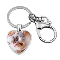 Cute cat photo heart pendant keychain in silver metal with lobster clasp for women - Cat Licking Paw Portrait(JY008169-12)
