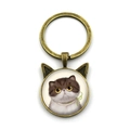 Detalle de llavero de bronce con orejas de gato e ilustración de gatito de pelo corto - Gato Exótico de Pelo Corto con Collar (YSK3093-9)