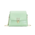 Mint green crocodile pattern crossbody bag with gold chain and metal buckle detail - Green