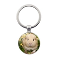 Detail of round guinea pig pendant keychain with clear glass cabochon photo and silver ring - Light Yellow Guinea Pig Photo (JY008596-Silver 11)