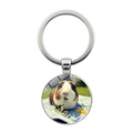 Cute guinea pig photo keychain with round silver metal pendant for pet lovers - Guinea Pig Eating Flower (JY008596-银3) / Silver