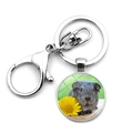 Detailansicht silberner Schlüsselanhänger mit Meerschweinchen und Gänseblümchen Anhänger - Graues Meerschweinchen mit Gänseblümchen (JY008597-8)