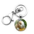 Silberner Meerschweinchen Schlüsselanhänger mit Glasstein-Anhänger und Karabinerhaken - Braun-weißes Meerschweinchen Draufsicht (JY008597-5)