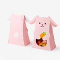 Close-up of pink rabbit gift box with transparent window and folded ears detail - Rabbit / 10.5x16x5.5cm