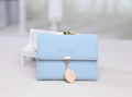 Gros plan d'un portefeuille en cuir PU bleu clair avec pendentif feuille dorée - Bleu clair