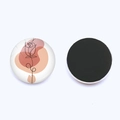 Detailed front and back view of a 25mm round floral glass fridge magnet with line art - Minimalist Art Rose (JY008948-6)