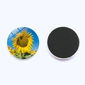 Dual view of sunflower glass fridge magnet showing floral pattern and magnetic back - Sunflower Pattern 8 (JY008956-8)