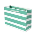 Bolsa de regalo a rayas verdes con asas de satén plateadas para empaque de ropa y moda - 20x7.5x15cm / Rayas verdes