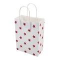 White paper gift bag with red star pattern and sturdy twisted white rope handles - Red