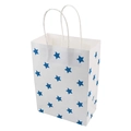 White paper gift bag with blue pentagram star pattern and white twisted rope handles - Blue
