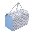 Minimalistische hellblaue Geschenkbox mit Tragegriffen und geometrischen Mustern - Blau Geometrisch