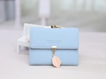 Kurze hellblaue Damen-Brieftasche mit goldenem Metallverschluss und Blatt-Anhänger - Hellblau