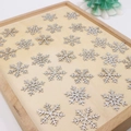 Close-up of sparkling silver glitter snowflake decorations for Christmas DIY projects - Silver Dusting Powder