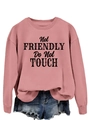 Flat lay of pink crewneck sweatshirt with Not Friendly slogan and denim shorts - S / Rose Gold (Black Slogan)