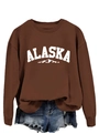 Detail of soft brown Alaska sweatshirt fabric texture and high-quality printed logo - S / Coffee (White Font)