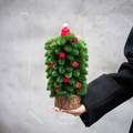 Mini desktop Christmas tree with red knit hat and wooden base 27cm height - Mini Christmas Tree With Red Hat (Medium)