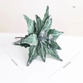Poinsettia Christmas flower decoration in dark green with silver glitter edges - Green