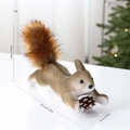 Realistisches Eichhörnchen mit Kiefernzapfen und flauschigem Schwanz für den Baum - Großes Kriechendes Eichhörnchen