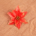 Rode kerstster kunstbloem met gouden glitters en groen hart op een achtergrond van jute - Gouden Rand Kleine Bloem Rood