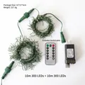 LED firecracker string lights set with dual 10m copper wires, 600 LEDs, and US adapter - 10m+10m Firecracker Lights