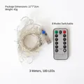 3M 100 LED USB copper wire string lights with 8-mode wireless remote controller - Warm White 3m USB
