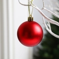 Matrode kerstbal van 10cm met gouden koord hangend aan een witte decoratieve tak - 5cm / Mat Rood