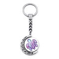 Portachiavi a mezzaluna argento con ciondolo a tartaruga marmorizzata colorata - Tartaruga Marmo Misto Viola (JY007412-1)