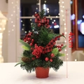 Mini albero di Natale 40cm con bacche, pigne e fiocco a scacchi in un vaso rosso - Stile Medio