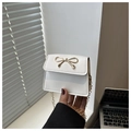 Detail der weißen Mini-Satteltasche mit goldenem Metallbogen und edler Kettenriemen - Weiß