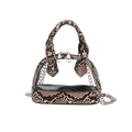 Schicke Handtasche mit Schlangenhaut-Print und transparentem PVC mit silberner Kette - Khaki
