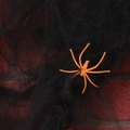 Decoración de Halloween con telaraña negra y araña naranja para escenas de fiesta - Negro 20g (Incluye 2 Arañas)