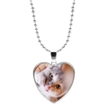 Pendentif cœur argenté avec photo de chat mignon sur une chaîne à billes en acier inox - Gros Plan de Chat Gris et Blanc (JY008172-12)