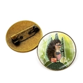 Niedliche Igel-Brosche mit Geige aus Bronze-Metall für Kleidung und Taschen-Accessoire - Reisender Fotograf Igel (Bronzebasis)