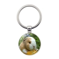 Cute brown and white guinea pig photo pendant with silver metal keychain ring - Guinea Pig in Grass (JY008596-Silver 5)