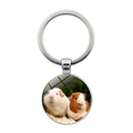 Cute guinea pig glass gem keychain with round metal pendant and silver keyring - Two Guinea Pigs Sitting Together (JY008596-Silver 6)