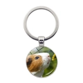 Guinea pig glass pendant keychain featuring a brown and white cavy sniffing yellow flower - Flower Sniffing Guinea Pig (JY008596-Silver 7)