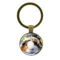 Vintage bronze keychain featuring a cute guinea pig with flowers under a glass dome - Healing Style Brown & White Guinea Pig (JY008596-Copper 10)