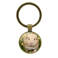Vintage bronze keychain featuring a cute guinea pig portrait under clear glass cabochon - Adorable Beige Guinea Pig (JY008596-Copper 11)