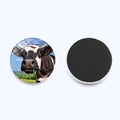 Round crystal glass cow fridge magnet with a powerful magnetic backing for home decor - Ranch Side Profile Cow (JY008898-2)
