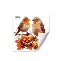 Detail view of 30cm square autumn window sticker featuring robins and pumpkins - Robin Bird Pumpkin Style (D16559) / 30cm x 30cm