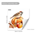 Detail view of 30x30cm watercolor sparrow and pumpkin static window sticker design - Sparrow Harvest Pumpkin Style (D16560) / 30cm x 30cm
