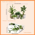 Large tropical potted plants wall stickers set for living room and balcony wall decor - 30*60cm*2 Sheets