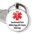 Medical alert keychain with red star of life and allergy warnings for nuts and seafood - Seafood Fish Milk Egg All Nuts Allergy