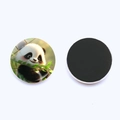 Μαγνητάκι ψυγείου panda 30mm από κρύσταλλο με στρογγυλή μαγνητική πλάτη για διακόσμηση - Χαριτωμένη εικονογράφηση Πάντα που κρατάει πράσινο φύλλο Στυλ (3CM-8)