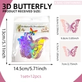 Detailed size guide for 3D hollow butterfly wall stickers with 12 pieces per set - Pink Purple Gradient Style (PJ18002)