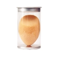 Orange teardrop makeup sponge blender in a transparent protective storage tube - Nude Beveled And Cylinder Tube